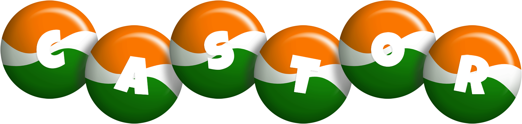 Castor india logo