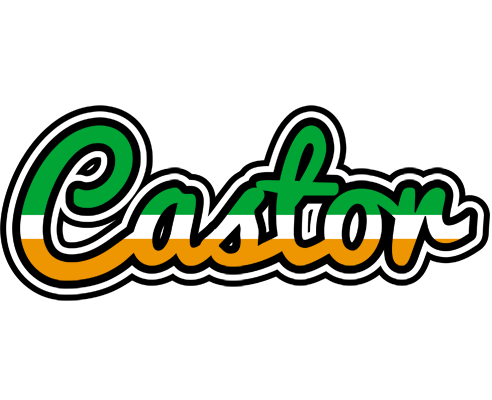 Castor ireland logo