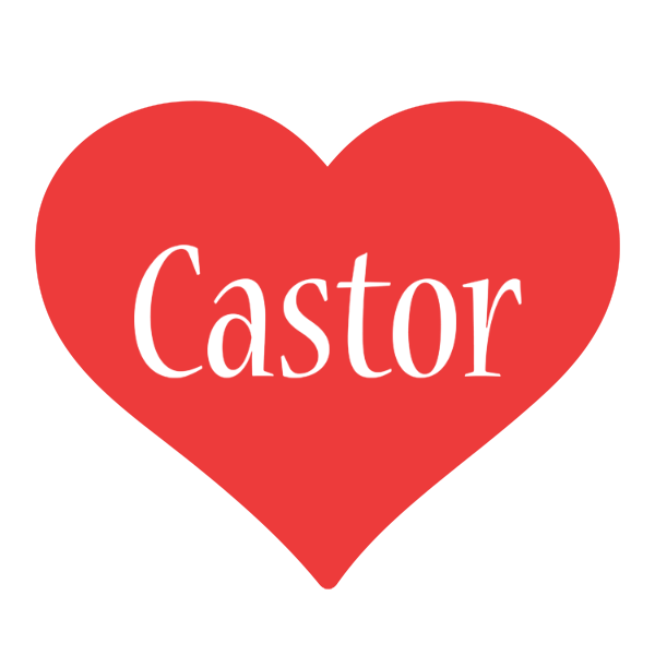 Castor love logo