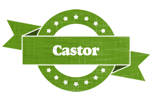 Castor natural logo