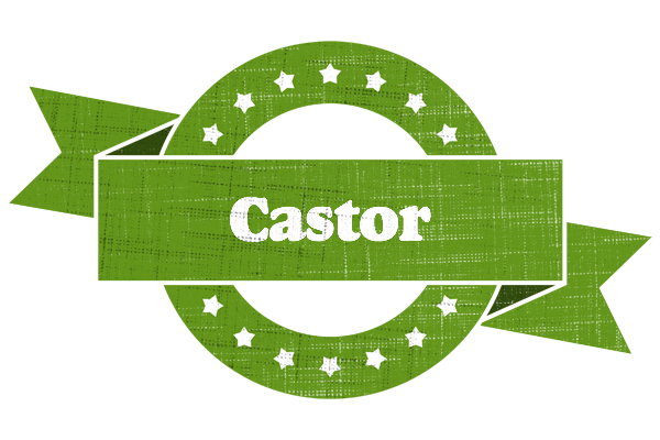 Castor natural logo
