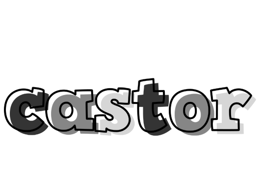 Castor night logo