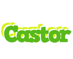 Castor picnic logo