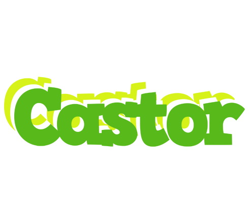 Castor picnic logo