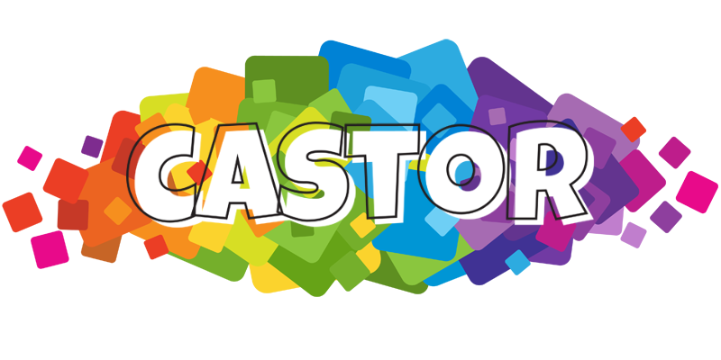 Castor pixels logo
