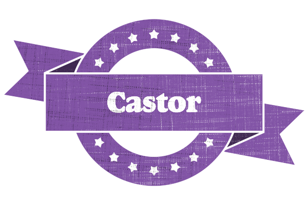 Castor royal logo