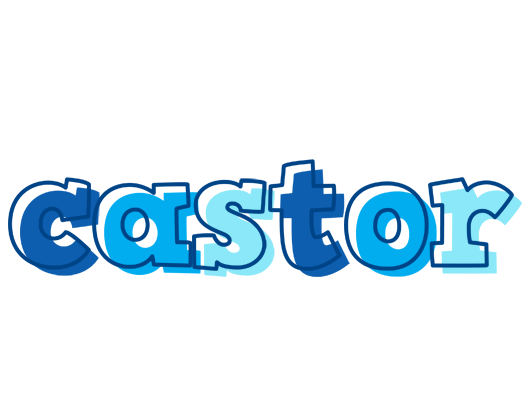 Castor sailor logo