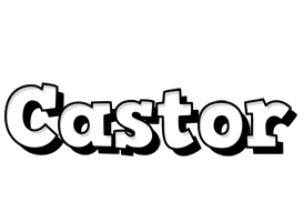Castor snowing logo