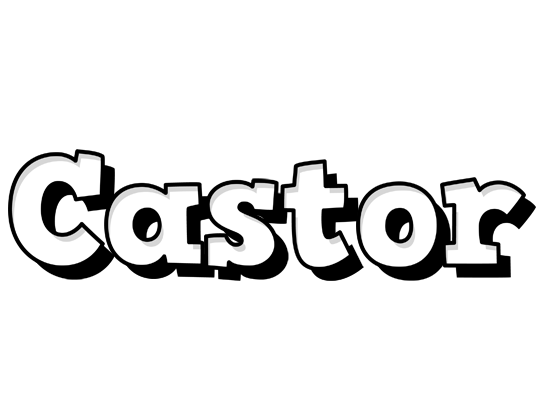 Castor snowing logo