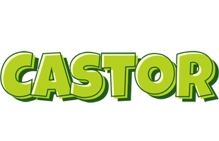 Castor summer logo