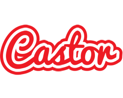 Castor sunshine logo