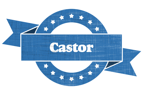 Castor trust logo