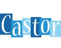 Castor winter logo
