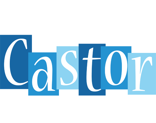 Castor winter logo