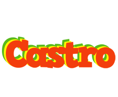 Castro bbq logo