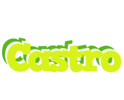 Castro citrus logo