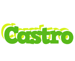 Castro picnic logo