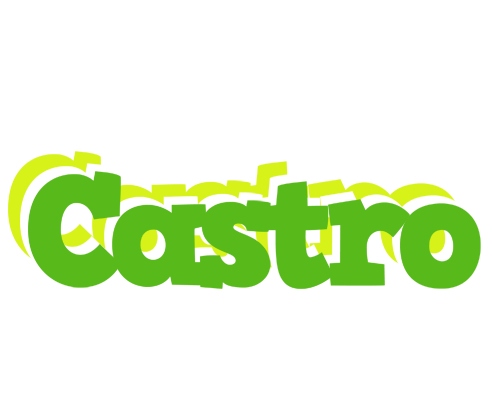 Castro picnic logo