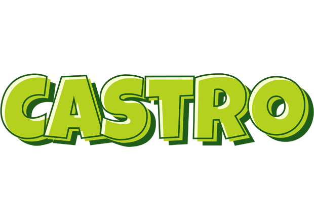 Castro summer logo