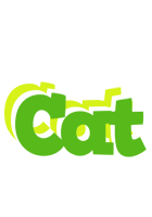 Cat picnic logo