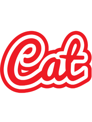 Cat sunshine logo