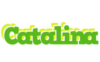 Catalina picnic logo