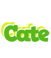 Cate picnic logo