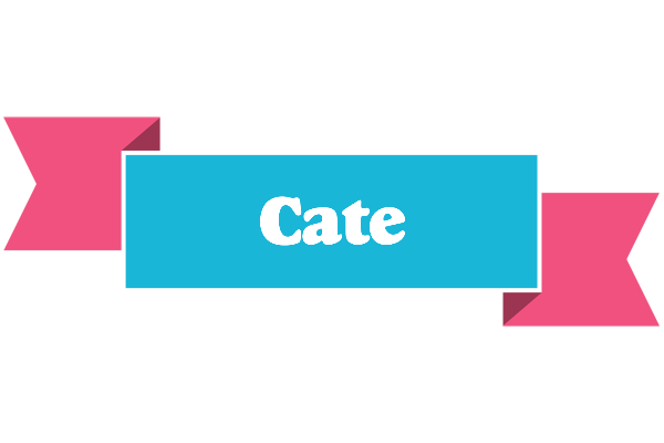Cate today logo