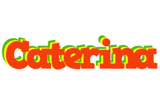 Caterina bbq logo