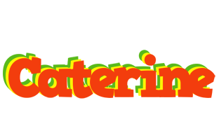 Caterine bbq logo