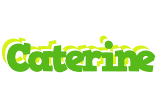 Caterine picnic logo