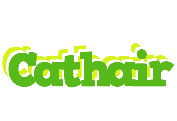 Cathair picnic logo