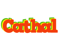 Cathal bbq logo