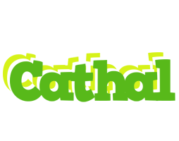 Cathal picnic logo