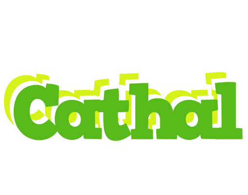 Cathal picnic logo