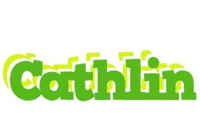 Cathlin picnic logo