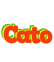 Cato bbq logo