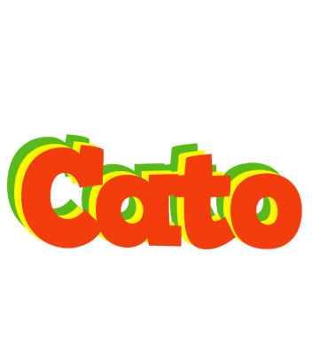 Cato bbq logo