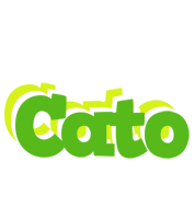 Cato picnic logo