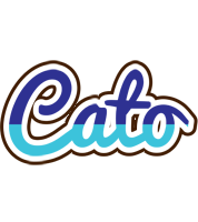 Cato raining logo