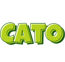 Cato summer logo