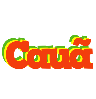 Cauã bbq logo