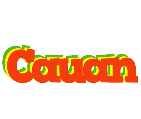 Cauan bbq logo