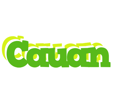 Cauan picnic logo