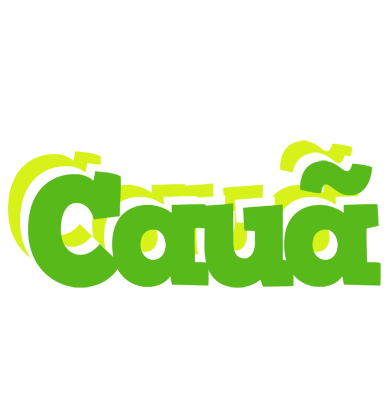 Cauã picnic logo
