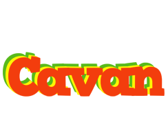 Cavan bbq logo