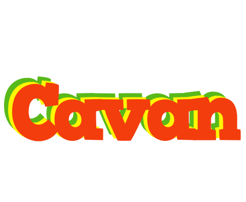 Cavan bbq logo