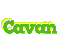 Cavan picnic logo