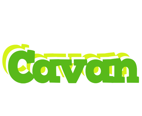 Cavan picnic logo
