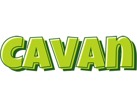 Cavan summer logo